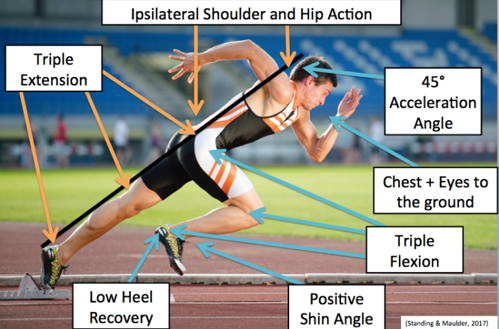 How to Run Faster: The 2 Step Process to Gaining Speed!